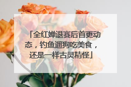 全红婵退赛后首更动态，钓鱼遛狗吃美食，还是一样古灵精怪