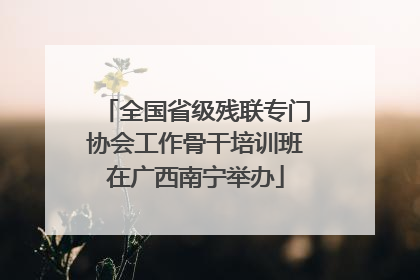 全国省级残联专门协会工作骨干培训班在广西南宁举办