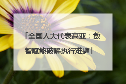 全国人大代表高亚：数智赋能破解执行难题