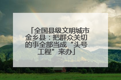 全国县级文明城市金乡县：把群众关切的事全部当成“头号工程”来办