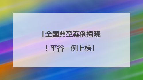 全国典型案例揭晓！平谷一例上榜