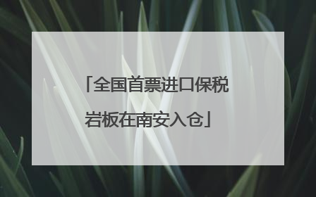 全国首票进口保税岩板在南安入仓