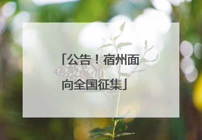 公告！宿州面向全国征集