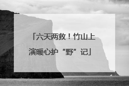 六天两救！竹山上演暖心护“野”记