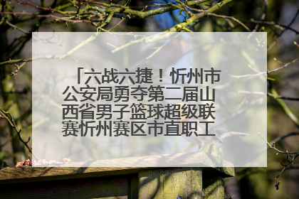 六战六捷！忻州市公安局勇夺第二届山西省男子篮球超级联赛忻州赛区市直职工组比赛冠军
