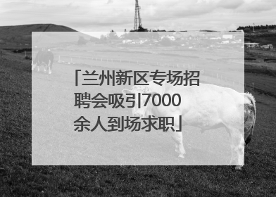 兰州新区专场招聘会吸引7000余人到场求职