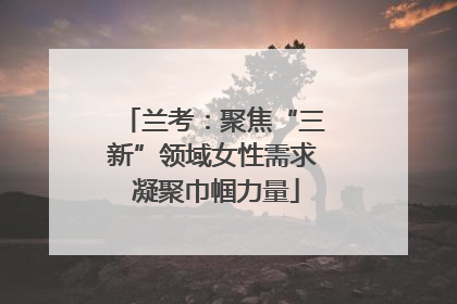 兰考：聚焦“三新”领域女性需求 凝聚巾帼力量