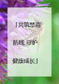 共筑禁毒防线 守护健康成长