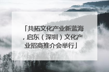 共拓文化产业新蓝海，启东（深圳）文化产业招商推介会举行