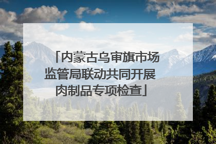 内蒙古乌审旗市场监管局联动共同开展肉制品专项检查
