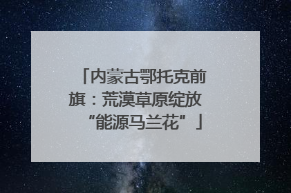 内蒙古鄂托克前旗：荒漠草原绽放“能源马兰花”