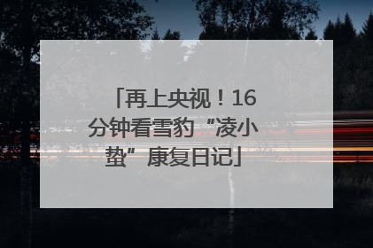 再上央视！16分钟看雪豹“凌小蛰”康复日记