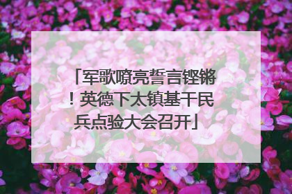 军歌嘹亮誓言铿锵！英德下太镇基干民兵点验大会召开