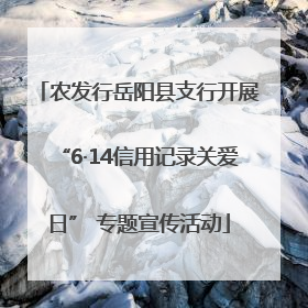 农发行岳阳县支行开展“6·14信用记录关爱日” 专题宣传活动