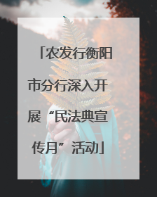 农发行衡阳市分行深入开展“民法典宣传月”活动