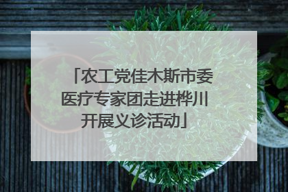 农工党佳木斯市委医疗专家团走进桦川开展义诊活动