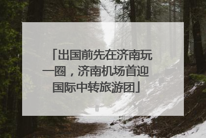 出国前先在济南玩一圈，济南机场首迎国际中转旅游团