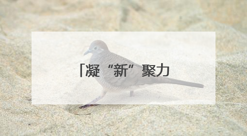 凝“新”聚力｜红旗渠畔“铁姑娘” 绘就“三新”新图景