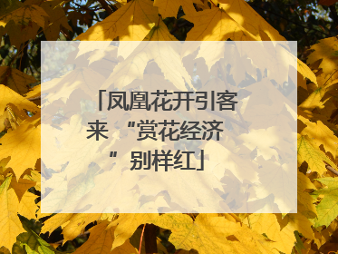 凤凰花开引客来 “赏花经济”别样红