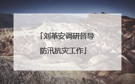 刘革安调研督导防汛抗灾工作