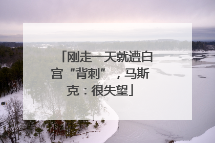 刚走一天就遭白宫“背刺”，马斯克：很失望