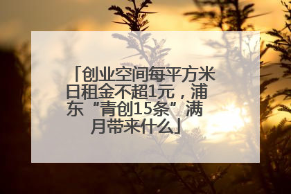 创业空间每平方米日租金不超1元，浦东“青创15条”满月带来什么