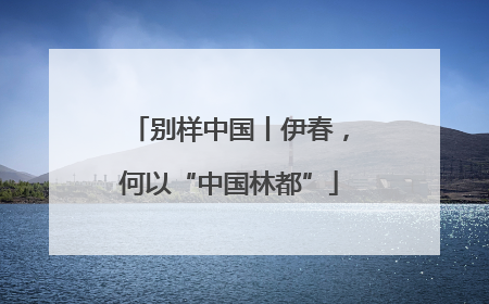 别样中国丨伊春，何以“中国林都”