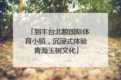 到丰台北粮国际体育小镇，沉浸式体验青海玉树文化