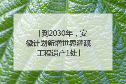 到2030年，安徽计划新增世界灌溉工程遗产1处