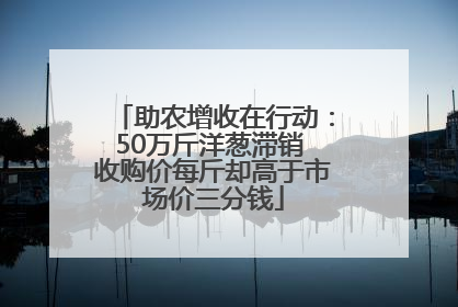 助农增收在行动：50万斤洋葱滞销 收购价每斤却高于市场价三分钱