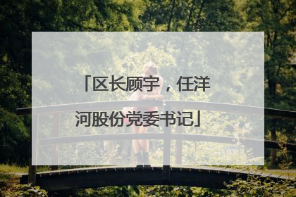 区长顾宇，任洋河股份党委书记