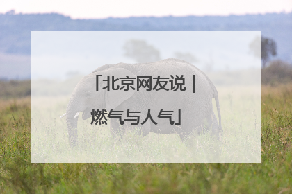 北京网友说｜燃气与人气