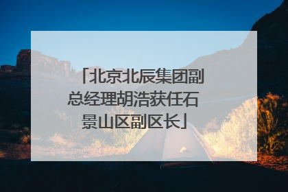 北京北辰集团副总经理胡浩获任石景山区副区长