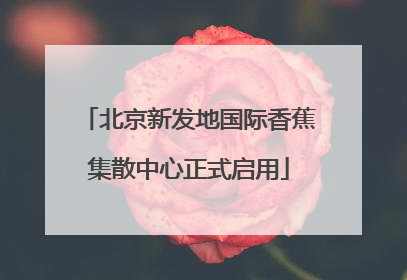 北京新发地国际香蕉集散中心正式启用