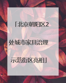 北京朝阳区2处城市家具治理示范街区亮相