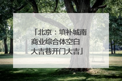 北京：填补城南商业综合体空白 大吉巷开门大吉