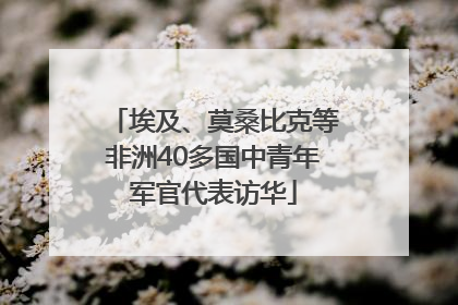 埃及、莫桑比克等非洲40多国中青年军官代表访华
