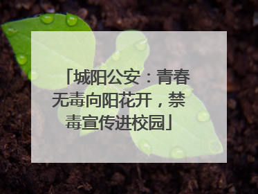 城阳公安：青春无毒向阳花开，禁毒宣传进校园