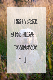 坚持党建引领 推进“双融双促”
