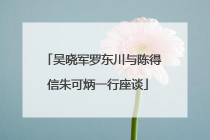 吴晓军罗东川与陈得信朱可炳一行座谈