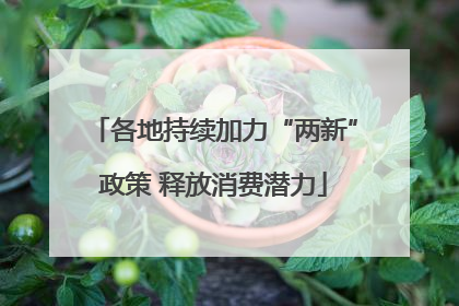 各地持续加力“两新”政策 释放消费潜力