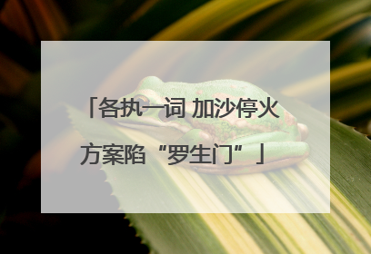 各执一词 加沙停火方案陷“罗生门”