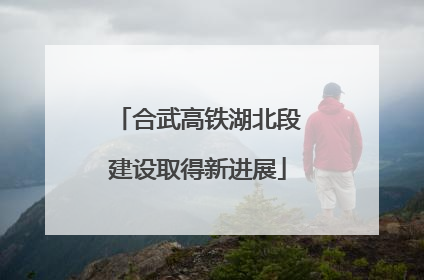 合武高铁湖北段建设取得新进展