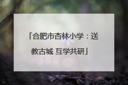 合肥市杏林小学：送教古城 互学共研