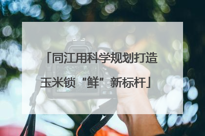 同江用科学规划打造玉米锁“鲜”新标杆