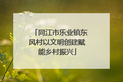同江市乐业镇东风村以文明创建赋能乡村振兴
