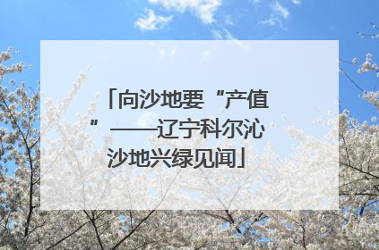 向沙地要“产值”——辽宁科尔沁沙地兴绿见闻