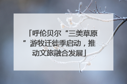 呼伦贝尔“三美草原”游牧迁徙季启动，推动文旅融合发展