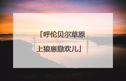 呼伦贝尔草原上狼崽撒欢儿