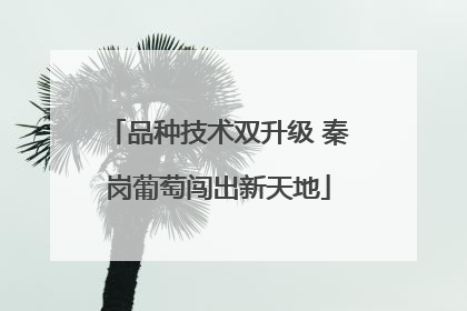 品种技术双升级 秦岗葡萄闯出新天地